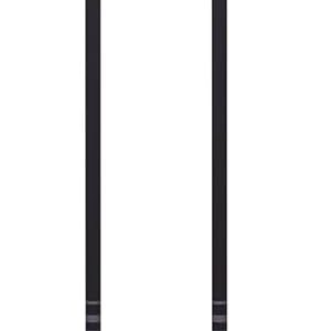 Black Diamond Equipment - Trail Pro Shock Trekking Poles