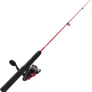 Zebco Dock Demon Spinning Reel or Spincast Reel and Fishing Rod Combo, 30-Inch Durable Fiberglass Rod, QuickSet Anti-Reverse Fishing Reel